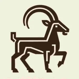 cropped-logo.webp